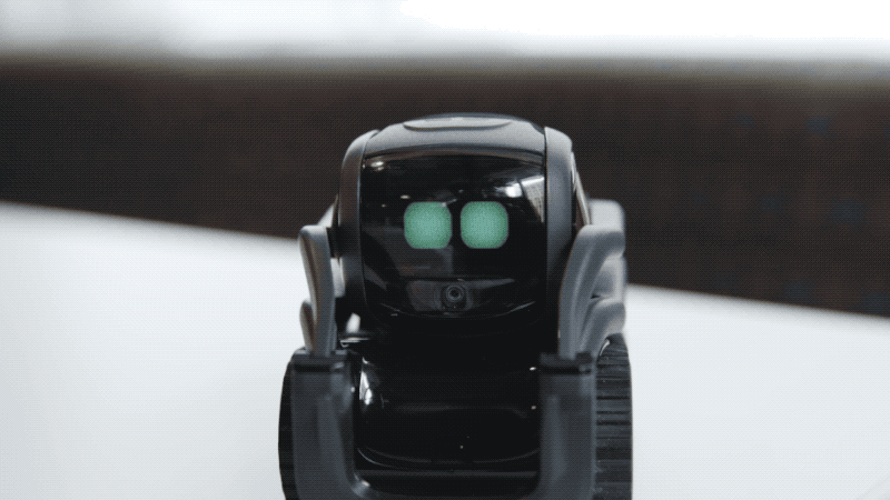 THE NEW ANKI VECTOR ROBOT IS SMART ENOUGH TO JUST HANG OUT